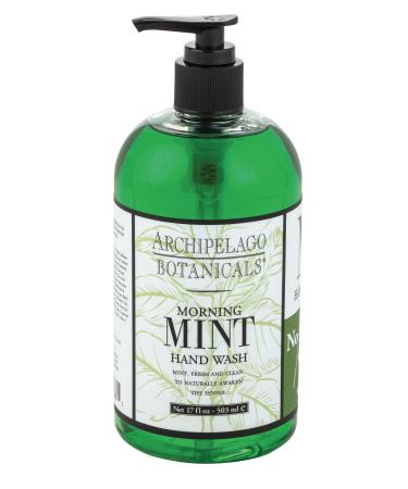 Archipelago Botanicals Morning Mint Hand Wash | Gentle  Daily Hand Soap | Cleanse and Hydrate (17 fl oz) Morning Mint 17 Fl Oz