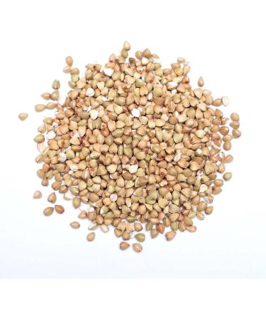 Forest Whole Foods Organic Buckwheat Groats 1kg - Premium Quality, Gluten-Free Grains | Pack of 1 - Buy Online on GoSupps.com