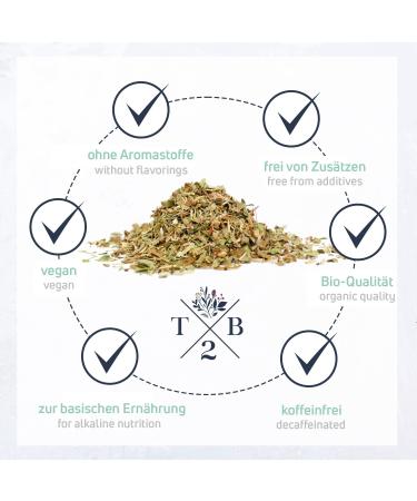  T2B Tea2Be by Sarenius Organic Grade Pyramid Tea Bags for Basic Food with Fuel Nettle (Pack of 20) - Buy Online on GoSupps.com
