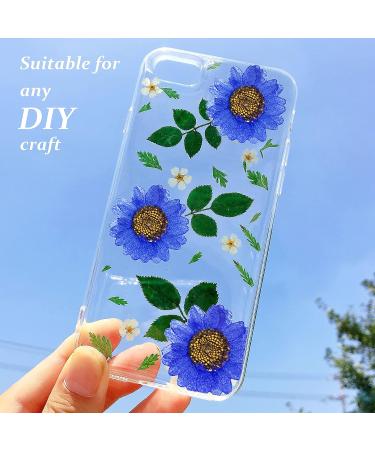 Heisenlin Dried Pressed Flower 60PCS Blue Natural Real Daisy Flowers with Forceps - DIY Crafts, Resin Jewelry, Soap, Scrapbooking - Nail Pendant Decoration - Buy Online on GoSupps.com