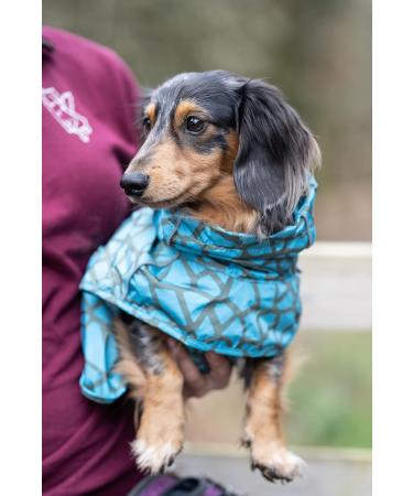 Rukka Pets Hayton Warm Raincoat for Dogs - Aqua | Waterproof & Cozy Dog Apparel - Buy Online on GoSupps.com