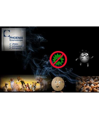  Phoenix Enzymreiniger Dental Blender Care 5.0-7.5 l - Buy Online on GoSupps.com