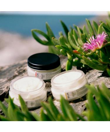  Krijen Linden Blossom Scented Cream Deodorant 50ml | Effective against fading anti-perspiration does not affect skin flora | Residue-free deodorant for men and women - Buy Online on GoSupps.com