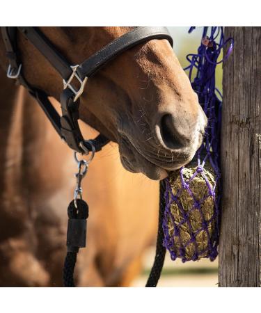Equilibrium Vitamunch Marvellous Meadow 1Kg - Horse Snack/Treat 1 kg (Pack of 1) Marvellous Meadow - Buy Online on GoSupps.com