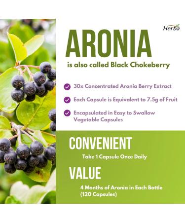 Herba Aronia Berry Extract 120 Capsules | 7 500mg Equivalent Per Capsule - 30:1 Extract | Black Chokeberry Supplement | 100% Natural Aronia Berry Powder in Vegetable Capsule | Made in Canada - Buy Online on GoSupps.com