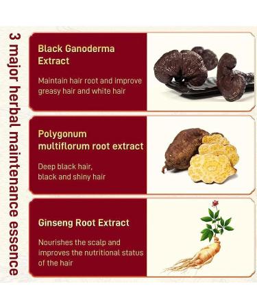 Black Ganoderma Polygonum Shampoo Dr. Wen Black Ganoderma Polygonum Multiflorum Shampoo Black Lingzhi Polygonum Polygonum Shampoo Herbal Ganoderma Polygonum Multiflorum Shampoo (2PCS) - Buy Online on GoSupps.com
