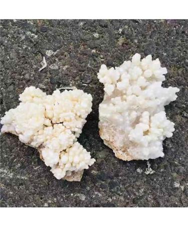 1pc 100g-580g Natural Raw Rough Rock Specimen White Stalactite Crystal Cluster for Home Decoration HOMEZHOU (Size : 1pc 290g-340g) - Buy Online on GoSupps.com