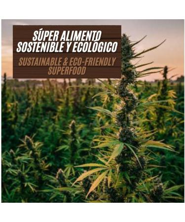 Prot ine de Chanvre Bio 250g - INKANAT | 100% Naturelle Vegan et cologique - Buy Online on GoSupps.com