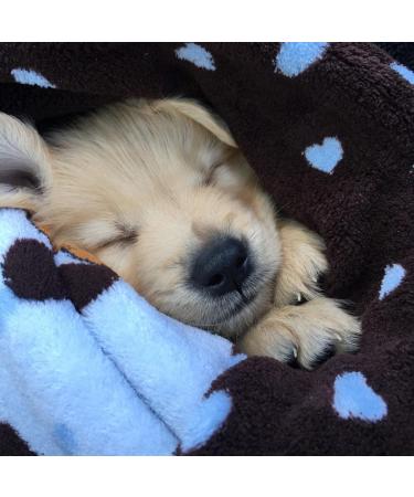SmartPetLove Snuggle Blanket for Pets - Blue | Cozy & Comfortable - Buy Online on GoSupps.com