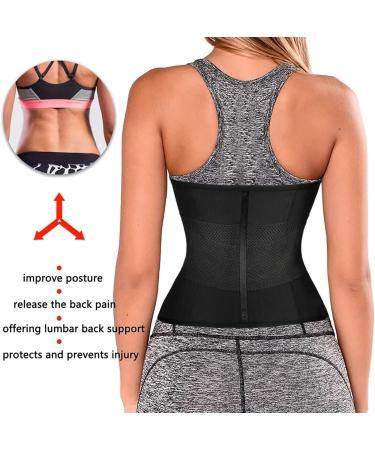 HKDYWTNB Back Brace Lumbar Support Waist Trainer Belt Tummy Control Waist Cincher Trimmer Sauna Sweat Slimming Waist Belt Medium Black - Buy Online on GoSupps.com