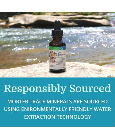 Morter Trace Minerals in Colloidal Suspension  Morter HealthSystem Best Process Alkaline  Nutrient Dense Trace Elements  Fulvic Minerals & Amino Acids 1 - Buy Online on GoSupps.com