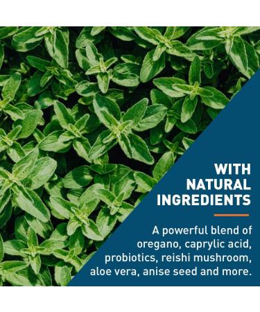 Dr. Tobias Oregano & Caprylic Acid Blend - Detox & Cleanse Bacteria Overgrowth with Probiotics - 60 Capsules - Buy Online on GoSupps.com