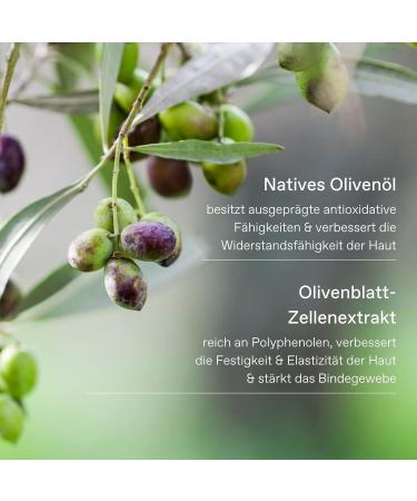 Korres Olive Blossom Hand Cream | Nourishing & Vegan | Moisturizing Olive Oil Formula - 75 ml - Buy Online on GoSupps.com