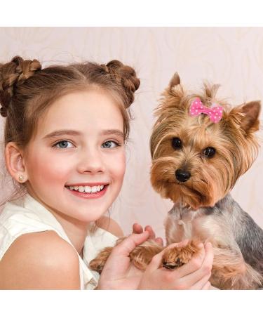 Ustnir 10-Piece Dog Hair Accessories Set Rubber Band Hair Loops for Long-Haired Dogs & Cats - Buy Online on GoSupps.com