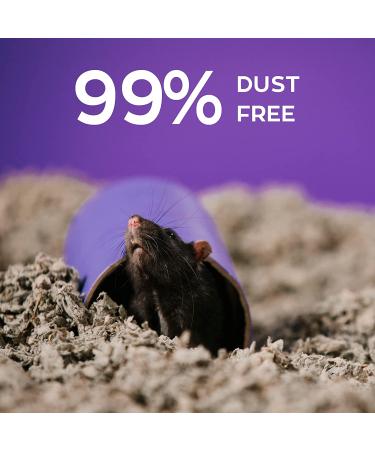 carefresh 99% Dust-Free Small Pet Bedding with Odor Control - 14 L - Buy Online on GoSupps.com