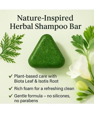 Nature Triangle Shampoo Bar Shampoing Solide Nature Triangle Nature Seven Green Soap Calmant et Renforce les Cheveux Soin Nettoyant et Hydratant pour Femmes et Hommes (1 pc 1) 1 pc 1 g (Lot de 1) - Buy Online on GoSupps.com