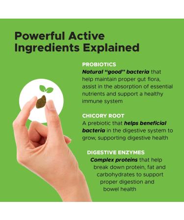 Pet Honesty Digestive Probiotic Soft Chews for Dogs Natural Digestive Support Immunity Health Seasonal Allergies Occasional Diarrhea & Constipation Due to Normal Environmental Issues (Duck) DOG Digestive Support (DUCK) - Buy Online on GoSupps.com