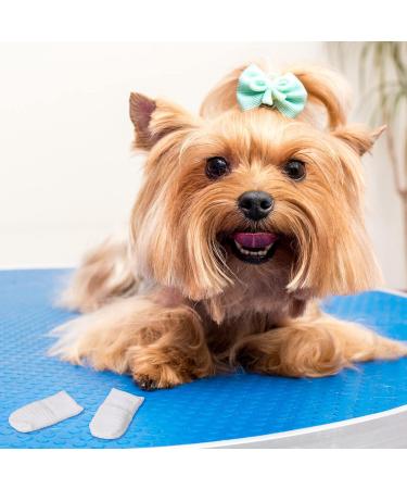 Auxsooul 24-Piece Dog Finger Toothbrush Set | Anti-Plaque Pet Care | Efficient Cleaning for Dogs & Rodents - Buy Online on GoSupps.com