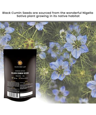 Luxurious Black Cumin Seeds 500g - Sourced Eqyptian Nigella Sativa Seeds | Packed in Refillable Pouch - Improve Overall Wellbeing | Made by BLACK SEED LAB in UK - Buy Online on GoSupps.com
