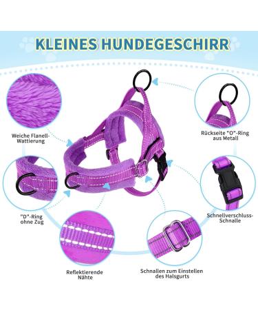 Eyein No-Pull Dog Harness & Leash Set - Soft Padded Reflective Adjustable for Puppies & Small Dogs (Purple Size S) - International Shipping Available - Buy Online on GoSupps.com