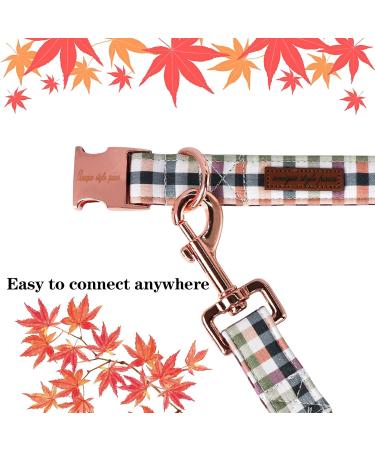 Buy Unique Style Paws Carroted Dog Line - Durable Cotton Training Leash for All Dog Sizes | Colorful Plaid Design - Buy Online on GoSupps.com