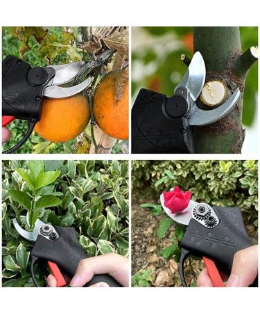 Professional Cordless Electric Pruning Shears 21V Tree Branch Pruner 30Mm Branch Cutter Cordless (2 Batteries) Small Gift - Buy Online on GoSupps.com