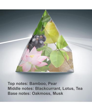 SOUL Inspired by Omnia Crystalline | Spray 4.0 Fl Oz / 120 ml | Perfume for Women | Women Eau de Parfum | Long Lasting Fragrance 4 Fl Oz (Pack of 1) BVLG Omnia Crystalline Impression - Buy Online on GoSupps.com