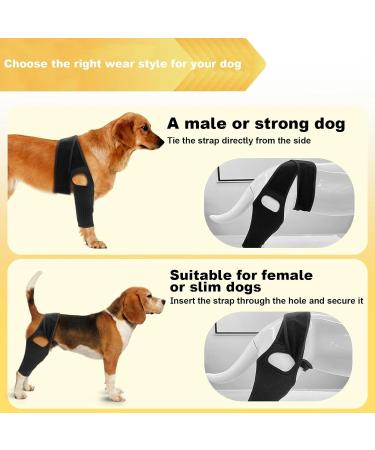 Dog Knee Brace - Dog Leg Protector with 10 Support Sticks | Dog Acl Knee Brace | Breathable Large Dog Rear Leg Support | Dog Leg Protector for Pet Recovery M - Buy Online on GoSupps.com