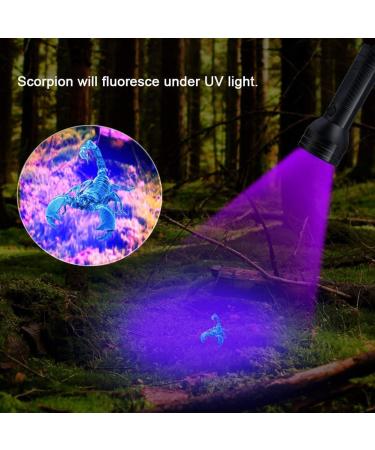 UV Black Light 51 LEDs Flashlight - Mini UV Detector for Pet Urine Scorpion and Fake Banknotes - 395nm Ultraviolet Torch - Buy Online on GoSupps.com