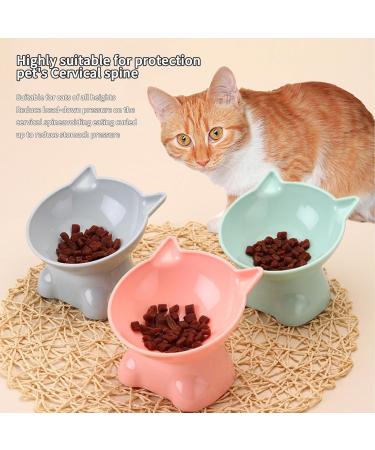 3 PCS Raised Cat Bowl Elevated Cat Feeding Bowls with Stand Tilted Pet Dog Cat Bowl Anti-Tipping Anti Vomit Cat Food Bowl Feeding Water Bowl Cat Dishes 15 Tilted Raised Cat Feeder - Buy Online on GoSupps.com