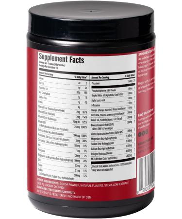 Perfect Keto Nootropic Brain Support, Caffeine Free Focus and Energy Supplement with Alpha Lipoic Acid, L Theanine, Ginkgo Biloba, Alpha GPC, MCT's, Collagen, Ketones, Chocolate Drink Mix, 15 Servings - Buy Online on GoSupps.com