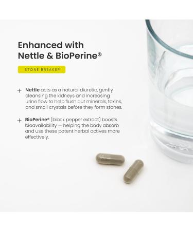 Chanca Piedra Stone Breaker Kidney Stone Dissolver Support & Gallbladder Cleanse Supplement Calcium Oxalate Balance & Detox for Urinary Tract 20 000 mg Equivalent Supplement with Nettle Leaf 180 Count (Pack of 1) - Buy Online on GoSupps.com
