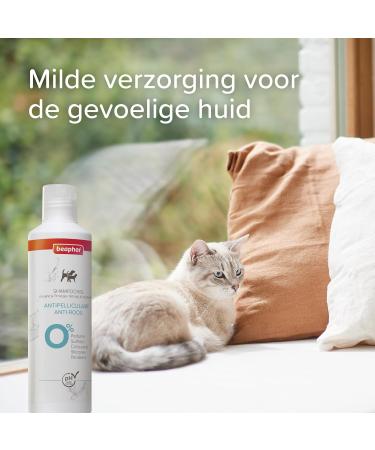 BEAPHAR - Anti-Dandruff Shampoo - For Dogs and Cats with Dandruff - Neutral - Protection against dandruff formation - 250ml - Buy Online on GoSupps.com