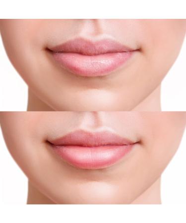 FRUDIA Honey Lip Balm Blueberry - Organic Lip Exfoliator, Moisturizer & Volumizer with Jeju Blueberry and Honey Extracts | For Dry & Chapped Lips (10 ml) - Buy Online on GoSupps.com