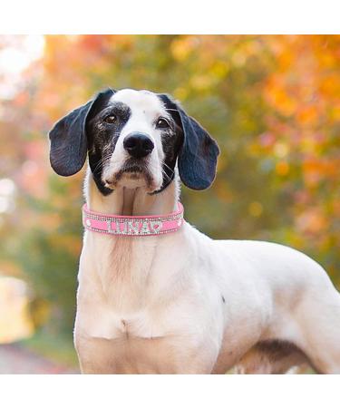 Senristar Personalized Bling Rhinestone Dog Collar - Custom Glitter Crystal Diamond Band for Small Medium & Large Dogs (1.5 cm Width 26-32 cm Neck) - Rose - Buy Online on GoSupps.com