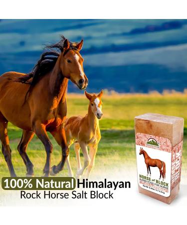 Himalayan Nature Licking Salt for Horses - 2 Pack Pink | Natural Mineral Supplement - Buy Online on GoSupps.com
