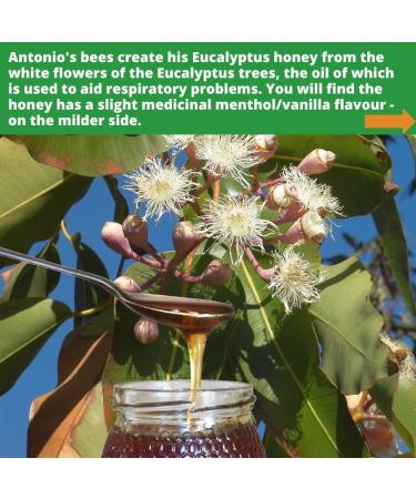 Antonio's Raw Certified Organic Eucalyptus Honey 970g - Antibacterial Wilderness Honey | Unpasteurised | Single Origin - Buy Online on GoSupps.com