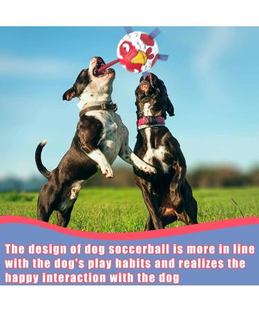 Hetoo Interactive Dog Toys | Durable Football with Gripping Bottles | Perfect for Small & Medium Breeds | Water Toys for Indoor & Outdoor Play - Large Size 3 Angry-Chick - Buy Online on GoSupps.com