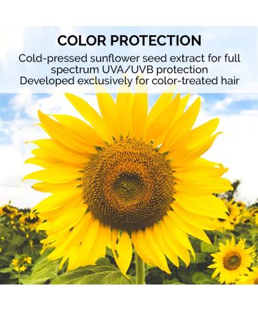 ColorProof SuperPlump Whipped Bodifying Mousse 7.5 oz - Color-Safe, Vegan, Sulfate-Free, Salt-Free - Professional Hair Product - Buy Online on GoSupps.com