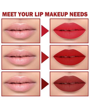 CAHIUYOA 3-Piece Dark Red Matte Liquid Lipstick Set | Long-Lasting, Smudge-Proof & Waterproof Lip Gloss | Labial Mate Larga Duraci n 24 - Set 05 - Buy Online on GoSupps.com