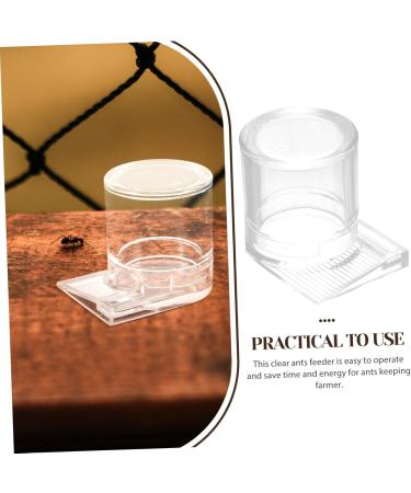 Generic Pet Water Feeder Automatic Ants Feeder Clear Ants Feeder Ants Feeding Device Ant Bowl Plastic - Buy Online on GoSupps.com