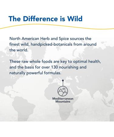 NORTH AMERICAN HERB & SPICE Pain-EEZ Muscle & Joint Spray | Fast-Acting Cooling Essential Oils | 1 fl. oz. | Non-GMO - Buy Online on GoSupps.com