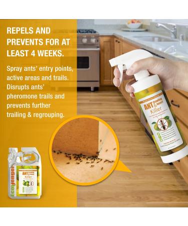 EcoRaider EcoVenger Ant & Crawling Insect Killer 16oz - Fast-Acting Citrus Scent Formula | Effective Against Spiders, Centipedes & More | Natural, Non-Toxic, Child & Pet Safe - Buy Online on GoSupps.com