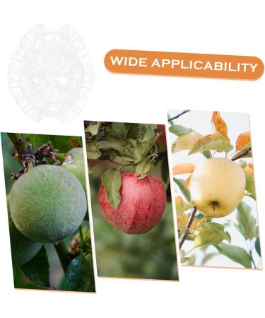 KONTONTY Fruit Shaper Vegetable Shaped Growth Fruitful to Play with Vegetable Fruit Shaping - Buy Online on GoSupps.com