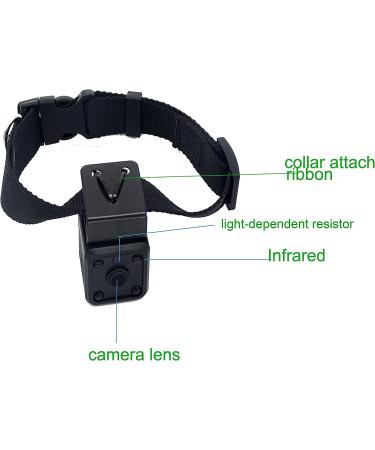 Wireless Rechargeable WiFi Pet Collar Camera Recorder Tracker - 720P HD with Night Vision - Bigger Size - Behavior Observation - Buy Online on GoSupps.com