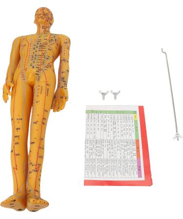 54cm Acupuncture Doll Human Body Acupoint Teaching Model Easy to Move with Point Book/Wall Charts Not Easy to Be Damaged Acupuncture Points Display A - Buy Online on GoSupps.com