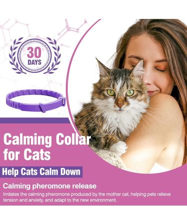 Soothing Cat Collar - Anti-Stress Neck Band for Anxiety Relief and Separation Fear - Buy Online on GoSupps.com
