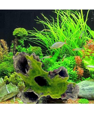 Maonativey Aquarium Harz Cave - Perfect Hideout for Small Fish & Garnelen | Unique Tree Stamm Decor for Aquariums - Buy Online on GoSupps.com