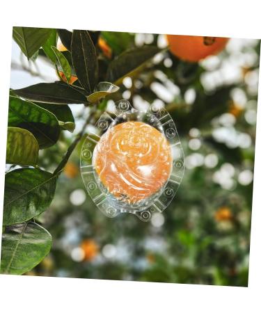 SUPVOX Vegetable Growing Shaped Growth Fruit Transparent Melon Growth Clear Shaping Shaper Maitreya Vegetable - Buy Online on GoSupps.com