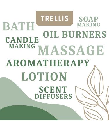 Trellis Rosemary Essential Oil 10ml - 100% Pure Aromatherapy Oil for Diffusers | Vegan & Cruelty-Free | Ethically Sourced from Spain | Bottled in the UK (1 Pack) - Buy Online on GoSupps.com